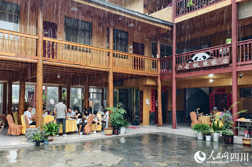 警察”见证青山之变开元棋牌网站“熊猫(图2)