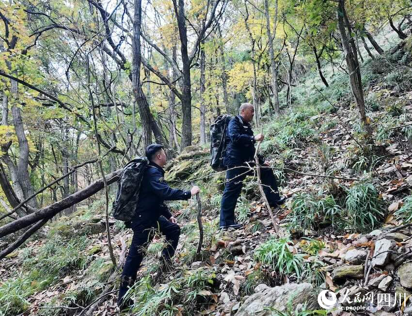 警察”见证青山之变开元棋牌网站“熊猫(图4)