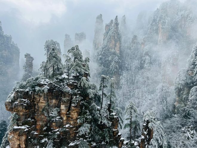 队访谈：16个旅行场景的专业服务解码ky开元棋牌张家界众腾国旅玲玲导游团(图5)